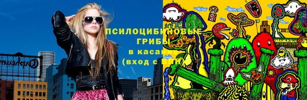 соль ск Абаза