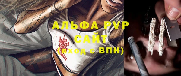 соль ск Абаза